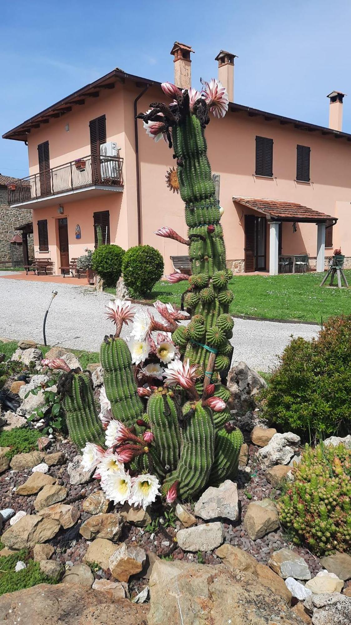 Il Casale Di Lucullo Villa Lucignano Kültér fotó